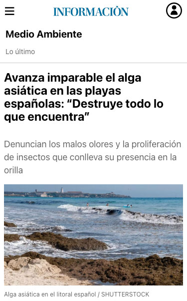 algas-news-informacion Noticia referente al tema de las algas invasoras en el periódico INFORMACIÓN