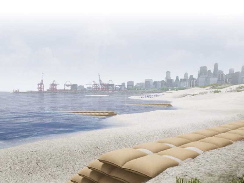 estructuras-marinas Reciclaje de Algas